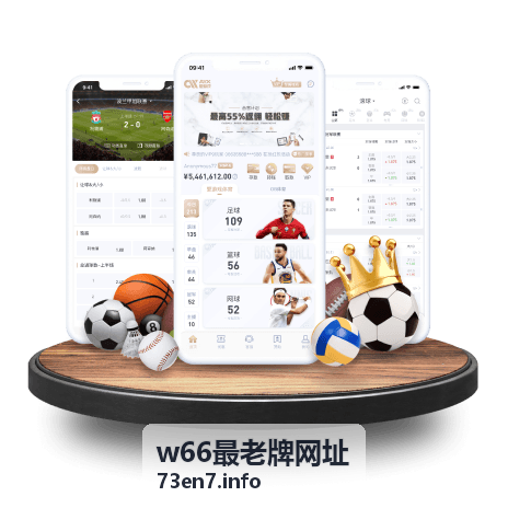 w66最老牌网址平台访问场景示意